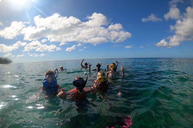 Coral Reef Snorkel Adventure with Photos and Videos - What the guides add to the reef visit