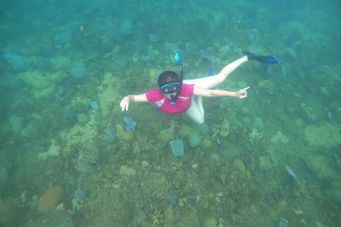 Coral Reef Snorkel Adventure with Photos and Videos - Photos and videos: a useful extra with limits