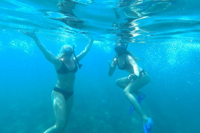Coral Reef Snorkel Adventure with Photos and Videos - Water clarity and weather can change the outing