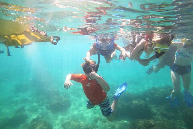 Coral Reef Snorkel Adventure with Photos and Videos - How the $50 price measures up