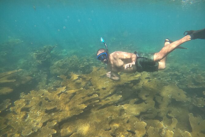Coral Reef Snorkel Adventure with Photos and Videos - Who should book this Rincón activity