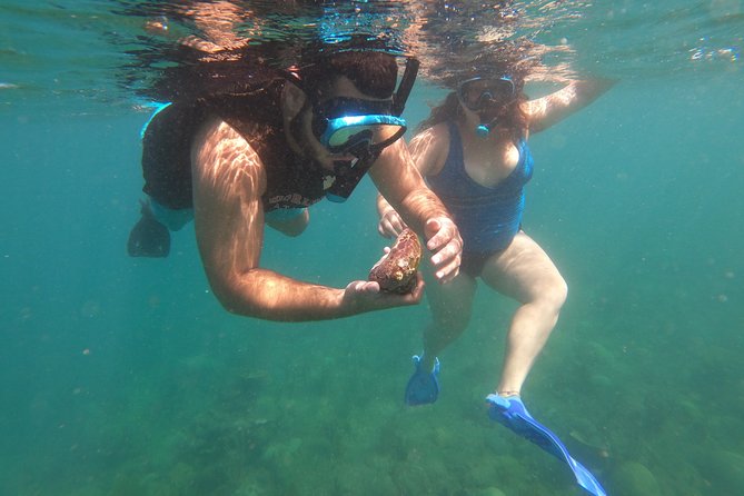 Coral Reef Snorkel Adventure with Photos and Videos - Why the beginner lesson is worth your time