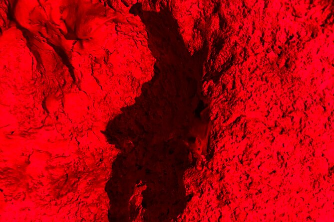 Cueva Ventana and Waterfall Adventure - Guide quality can shape the whole day