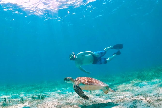 Culebra Snorkel and Turtle Adventure with Transport - Starting early at the Ceiba Ferry Terminal