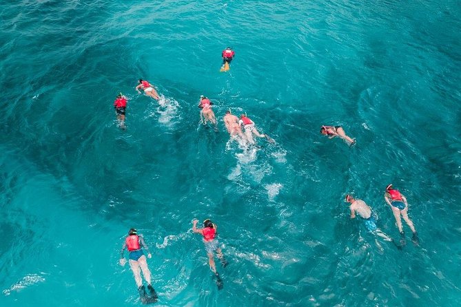 Culebra Snorkel and Turtle Adventure with Transport - Swimming ability is an important safety issue