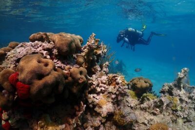 Culebra Snorkeling and beach Day Experience by boat