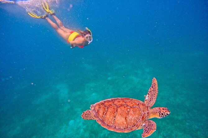 Culebra Swim with Turtles Adventure and Flamenco Beach by Ferry - What the guides add to the water experience