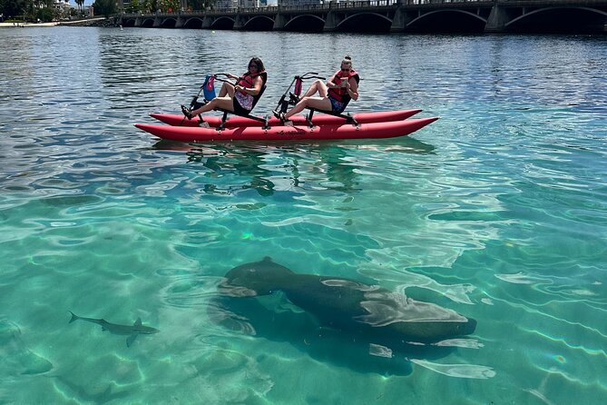 Day Adventure Chiliboats Waterbike – Condado Lagoon - From the Dock to the Water