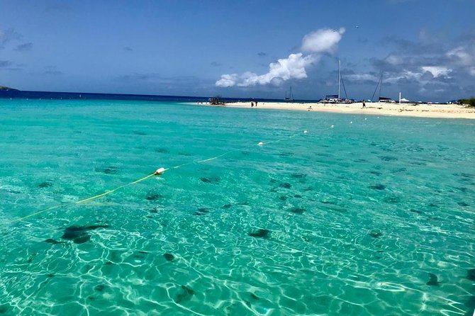 Day Sail without transportation - Snorkeling with reef fish and a new snorkel