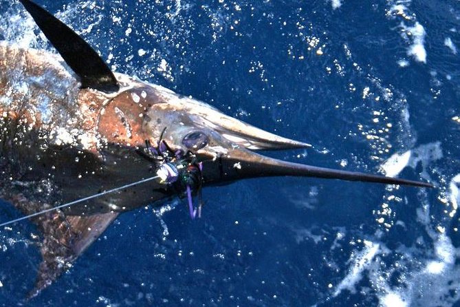 Deep Sea Fishing Private Boat Charter in San Juan - What makes the private format worthwhile