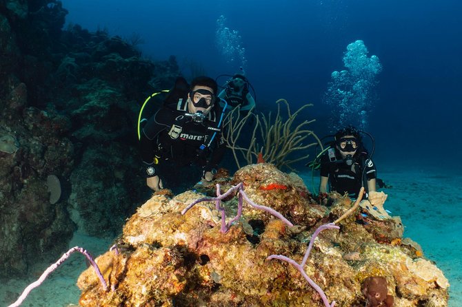 Discover Culebra: 2-Tank Scuba Diving - Key points before you book