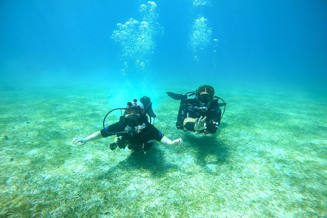Discover Culebra: 2-Tank Scuba Diving - Marine turtles, sea life, and realistic expectations