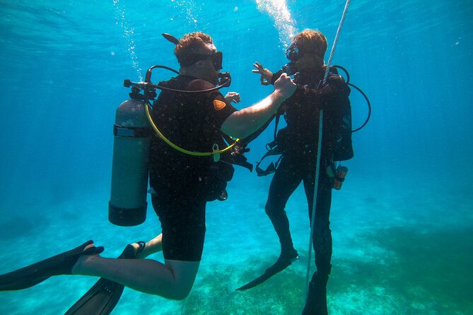 Discover Culebra: 2-Tank Scuba Diving - Who should book this Fajardo scuba outing?