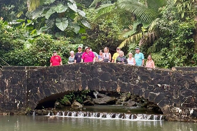 Discover El Yunque National Park: Half-Day Rainforest Tour - Yokahú Tower: the tour’s best high view