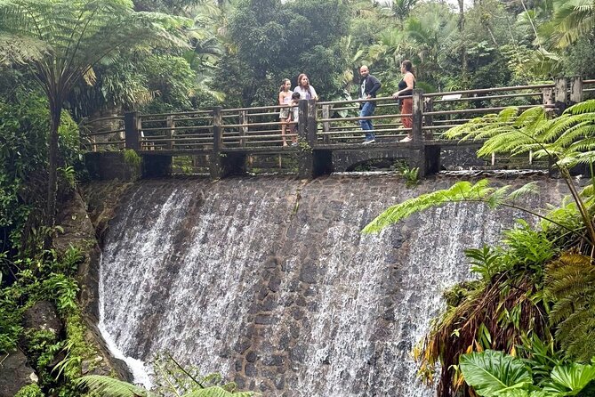 Discover El Yunque National Park: Half-Day Rainforest Tour - A short nature walk, not a rainforest hike