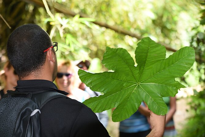 Discover El Yunque National Park: Half-Day Rainforest Tour - The guide can make or break the morning