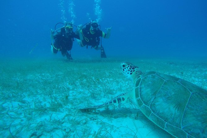 Discover Fajardo: 2-Tank Scuba Diving - Key points to know before you book