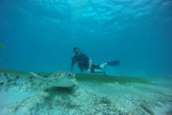 Discover Fajardo: 2-Tank Scuba Diving - Starting at Villa Marina at 7:30 am