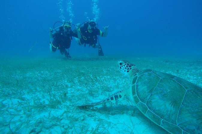 Discover Fajardo: 2-Tank Scuba Diving - How the crew handles beginners