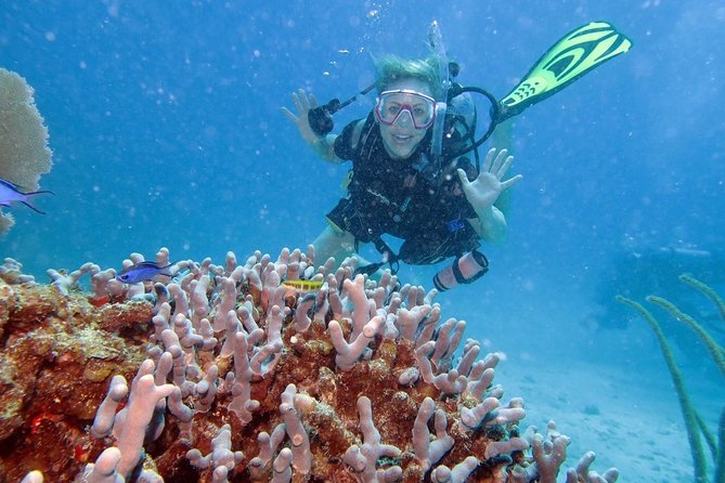 Discover Fajardo: 2-Tank Scuba Diving - The classroom lesson makes the first session less stressful