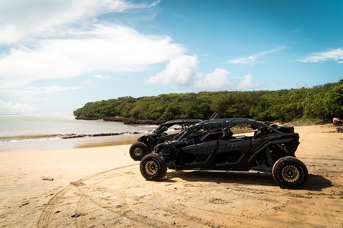 Discover Puerto Rico Like a Local 4 Hour Private Beach Escape - Key points to know before booking
