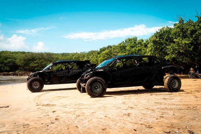 Discover Puerto Rico Like a Local 4 Hour Private Beach Escape - Why this private beach ride is different