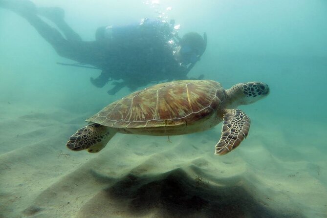 Discover Scuba Diving in San Juan - Key things to know before booking