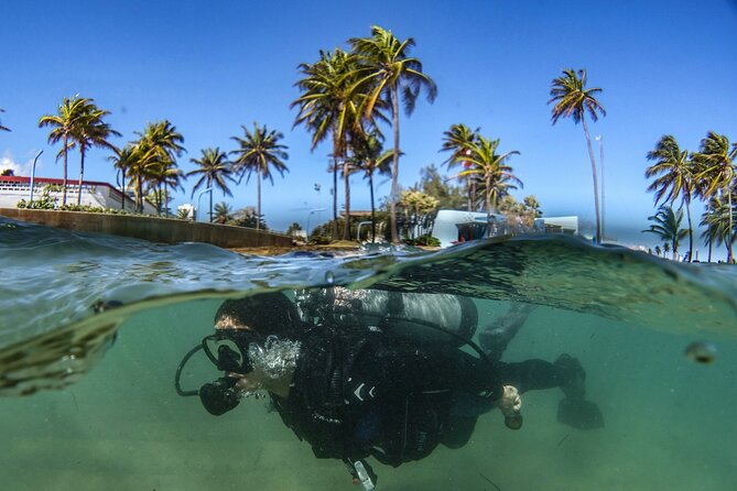 Discover Scuba Diving in San Juan - Timing, transport, and cancellation tips