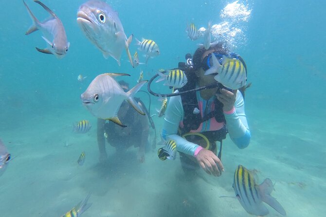 Discover Scuba Diving in San Juan: Perfect for First-Time Divers - The experience at a glance