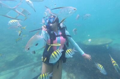 Discover Scuba Diving in San Juan: Perfect for First-Time Divers