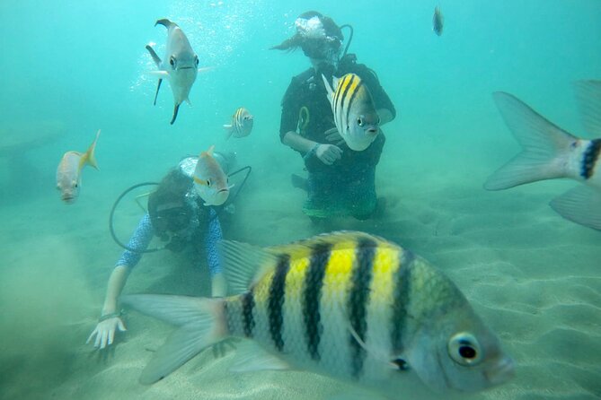 Discover Scuba Diving in San Juan: Perfect for First-Time Divers - The instructors are the biggest strength