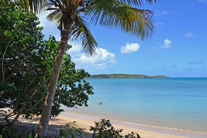 Discover Scuba Diving in San Juan: Perfect for First-Time Divers - Morning or afternoon?