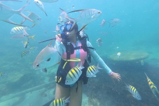 Discover Scuba Diving in San Juan: Perfect for First-Time Divers - Part two: the pool demonstration