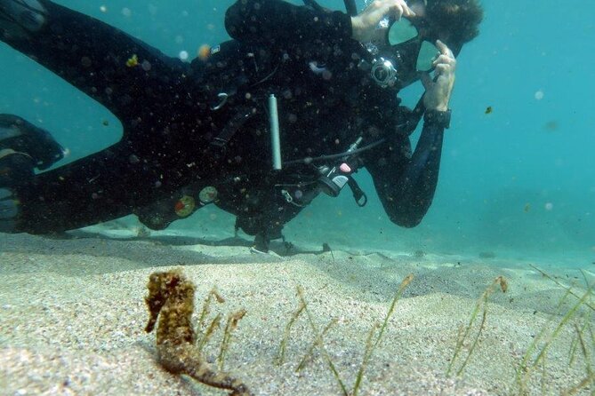 Discover Scuba Diving in San Juan - Why Escambrón Marine Park works well for beginners