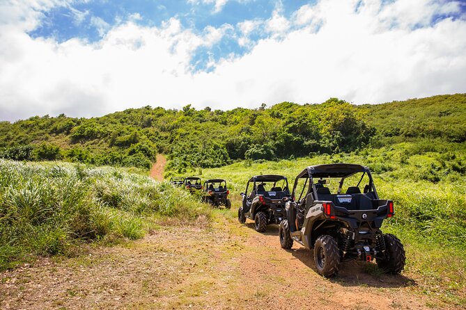 Dos Mares and Rainforest UTV Adventure Tour in Fajardo - What kind of outing is this?
