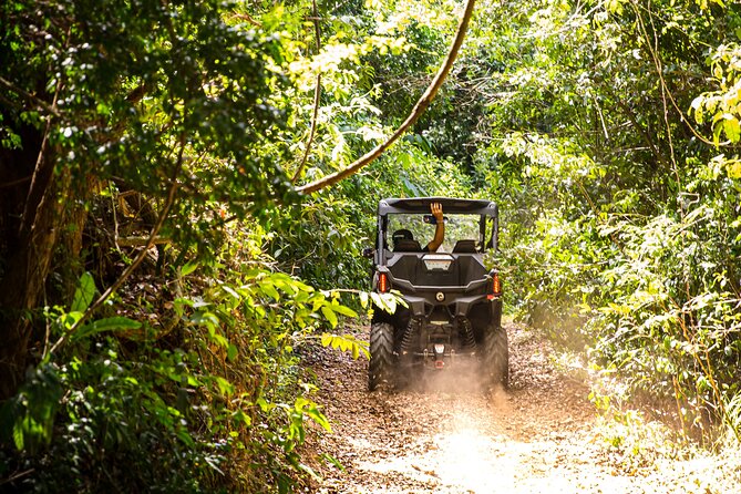 Dos Mares and Rainforest UTV Adventure Tour in Fajardo - The trail time is the heart of the tour