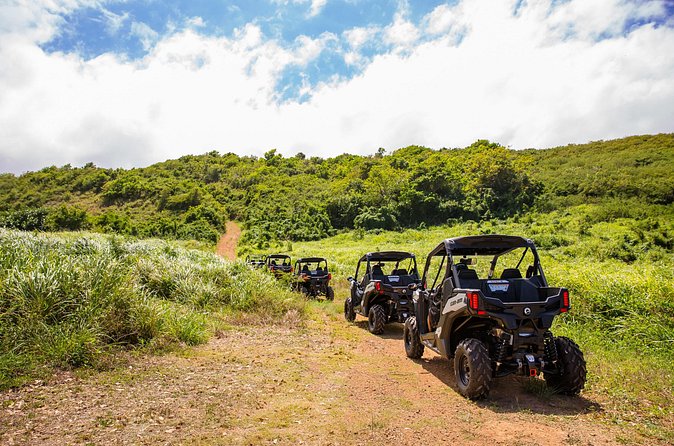 Dos Mares and Rainforest UTV Adventure Tour in Fajardo - Guides shape the quality of the hour