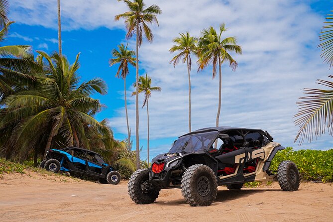 Drive a UTV Can-Am on a Beach Tour in San Juan Puerto Rico - Starting at The Mall of San Juan