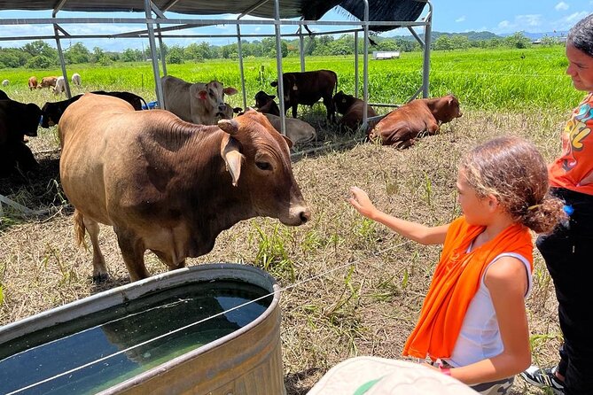 Eco Friendly Farming Tour to Explore Dorado's Most Beautiful Farm - Key Points to Know Before You Go