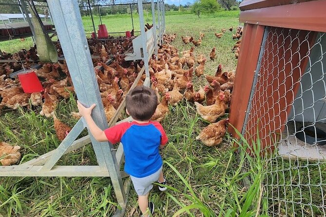Eco Friendly Farming Tour to Explore Dorado's Most Beautiful Farm - Meeting José Luis and Learning How the Farm Works