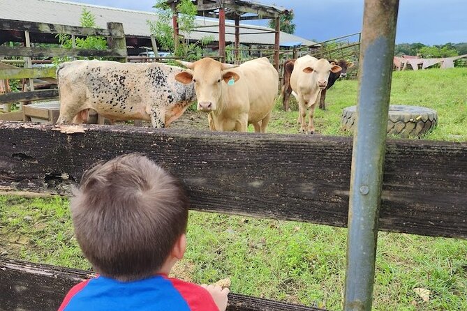 Eco Friendly Farming Tour to Explore Dorado's Most Beautiful Farm - Regenerative Agriculture Without the Jargon