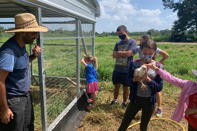 Eco Friendly Farming Tour to Explore Dorado's Most Beautiful Farm - The Farm Store: Eggs, Meat, Coffee, and Dairy