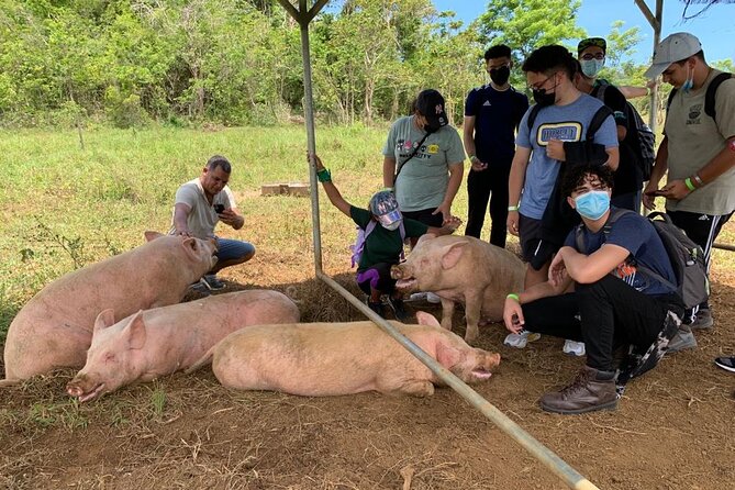 Eco Friendly Farming Tour to Explore Dorado's Most Beautiful Farm - Who Will Enjoy This Farm Visit Most?