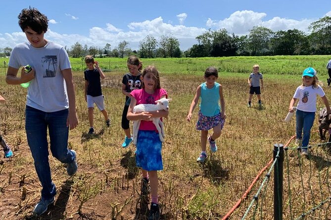 Eco Friendly Farming Tour to Explore Dorado's Most Beautiful Farm - Five Farm Areas, From Hens to Sheep