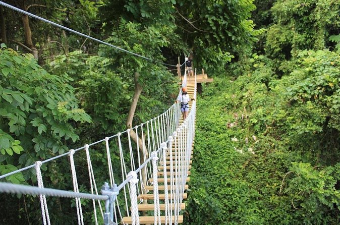 El Yunque Adventure Trail - Hanging bridges and the first test of balance