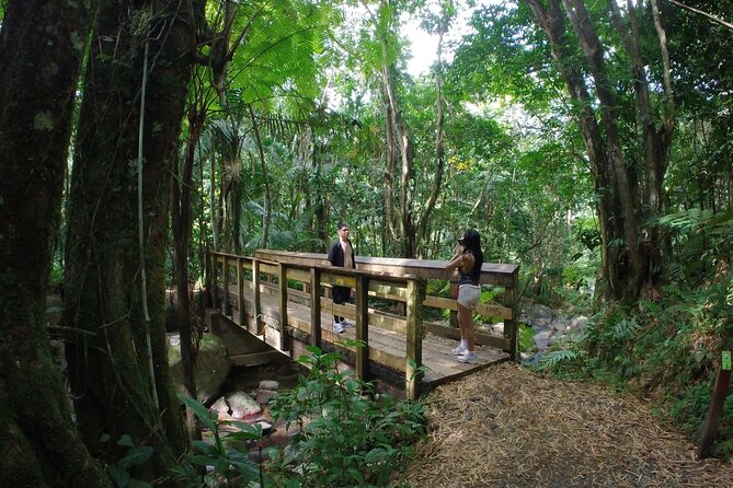 El Yunque Beach Jetski + Rainforest Hike Adventure Tour - Luquillo Beach and the sandbar stop