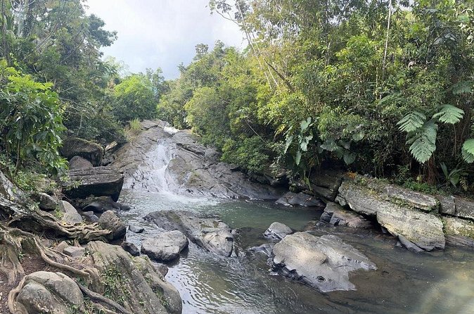El Yunque & Beach Tour: Waterslide, Waterfall, Food, & Photos - Swimming, rock jumps, and the natural pool