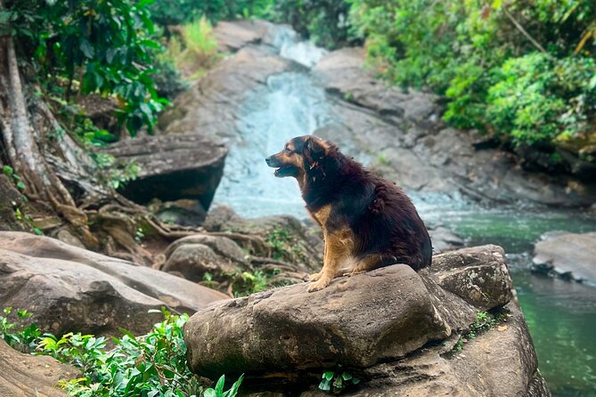El Yunque Hike, Waterslide & Luquillo Kiosks Food with Transport - Las Paylas: rock slides and river pools