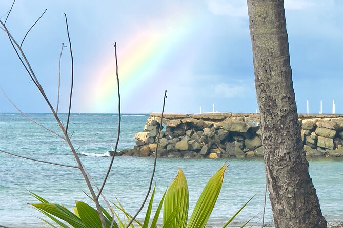 El Yunque Hike, Waterslide & Luquillo Kiosks Food with Transport - Who will enjoy this outing most