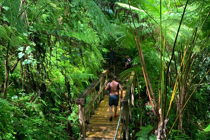 El Yunque National Forest and Luquillo Beach Combo - Key points to know before booking